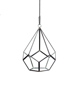 Geometric Glass Terrarium, Undecahedron Tear Drop, Black Frame - Width: 7", Height: 8.75"