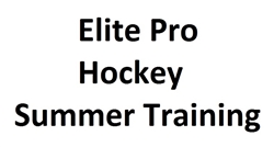 Pro Hockey Performance Training Camp 2017
