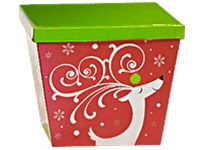 Dashing Reindeer Box 12 piece