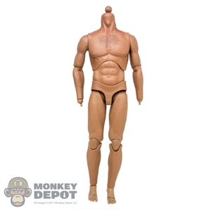 Figure: Art Figures Nude Base Muscle Body
