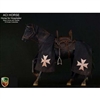 Boxed Horse: ACI 1/6 War Horse – Black Horse for Templar (ACIH01)