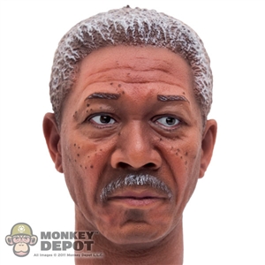 Head: Ace Toyz Morgan Freeman