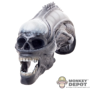 Head: Black Box Alien Skull Model