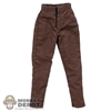 Pants: BBK Female Brown Pants