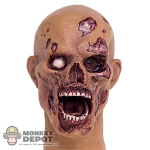 Head: BomToys Zombie Head