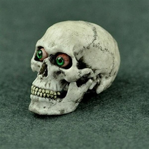 Skull: Coo Models 1/6 Skull White