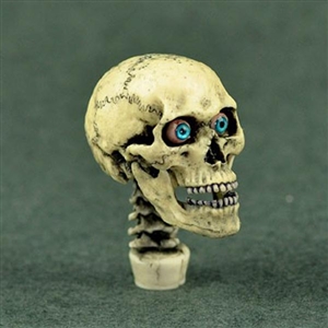 Skull: Coo Models 1/6 Skull Yellow/White