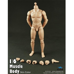 Boxed Figure: COO Models 9.8" Muscle Body (34003)