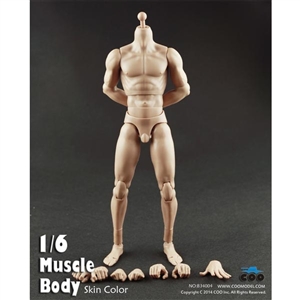 Boxed Figure: COO Models 10.6" Muscle Body (CM-B34004)