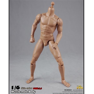 Boxed Figure: COO Models 9.8" 2.0 Muscle Body (CM-BD003)