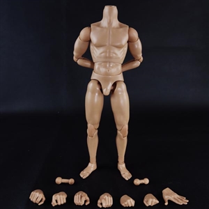 Figure: COO Models Muscle Male Body 9.84" (CM-BD009)