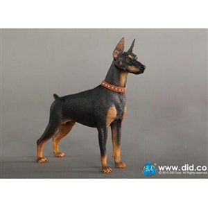 Dog: DiD Doberman Pinscher Black (AS001B)