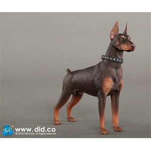 Dog: DiD Doberman Pinscher Red (AS001R)