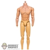 Figure: DJ Custom Mens Muscular Body w/ Wrist Pegs