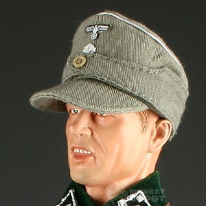 Hat DiD German WWII SS M43