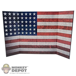 Display: DiD US Flag  (22in X 14in)