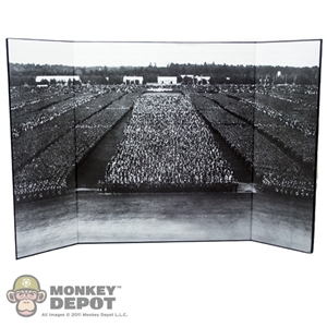 Display: DiD Black & White Rally (22in X 14in)