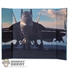 Display: DiD Grumman F-14 Tomcat Backdrop (18.5" X 13.5") (READ NOTES)