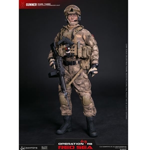 Boxed Figure: DamToys Dam Toys - Operation Red Sea PLA Navy Marine (DAM-DMS007)