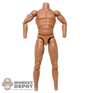 Figure: DAM Toys Muscle Body