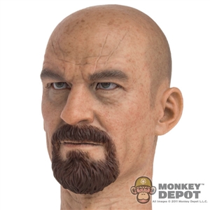 Head: DamToys Bryan Cranston