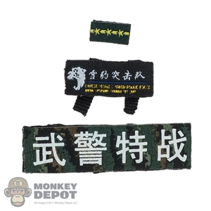 Insignia: DamToys Chinese People's Armed Police Force Snow Leopard Commando Unit Team Leader Patch Set