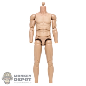 Figure: DamToys 3.0 Action Body