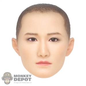 Head: DamToys Jiao