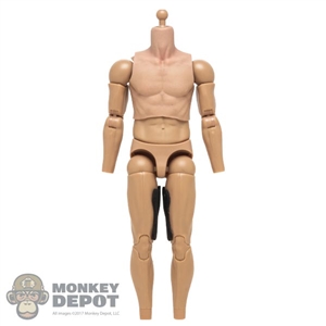 Figure: DamToys 3.5 Action Body