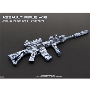 Easy & Simple Assault Rifle 416 Special Force Set Frosbite (06002E)