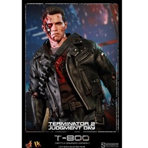 Boxed Figure: Hot Toys T-800 (Battle Damaged) (901980)