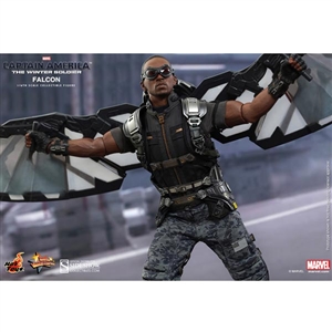 Boxed Figure: Hot Toys Falcon - Captain America The Winter Soldier (902203)