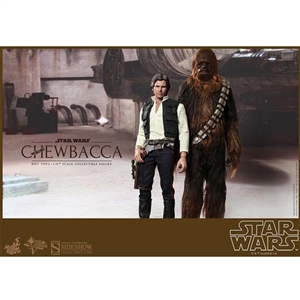 Boxed Figure: Hot Toys Han Solo & Chewbacca (902268)