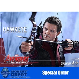 Boxed Figure: Hot Toys Age Of Ultron - Hawkeye (902379)