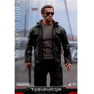 Boxed Figure: Hot Toys T-800 Guardian (902480)