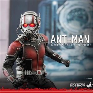 Boxed Figure: Hot Toys Ant-Man (902448)