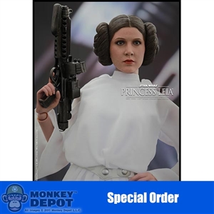 Boxed Figure: Hot Toys Star wars Princess Leia (902490)