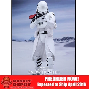 Boxed Figure: Hot Toys Star Wars - First Order Snowtrooper Officer (902552)