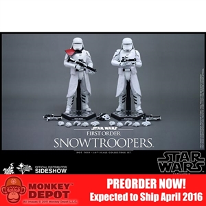 Boxed Figure: Hot Toys Star Wars - First Order Snowtroopers (902553)