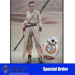 Boxed Figure: Hot Toys Star Wars - Rey & BB-8 (902612)
