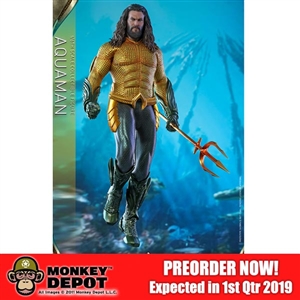 Boxed Figure: Hot Toys Aquaman (903722)