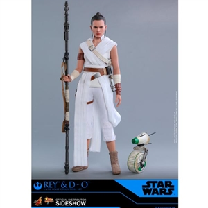 Hot Toys Star Wars Rey and D-O (905520)