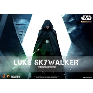 Hot Toys Luke Skywalker (909047)