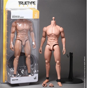 Boxed Figure: Hot Toys True Type Advanced Muscular Caucasian (901995)