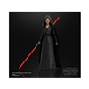 Action Figure: Hasbro 6 inch Star Wars Black Series Rey (Dark Side Vision)