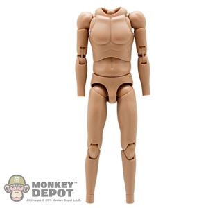 Figure: Hot Toys True Type Slim Body Caucasian (No Head, No Hands, No Feet)