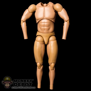 Figure: Hot Toys True Type Regular Body Caucasian W/Bulking Thighs (No Head, No Hands, No Feet)