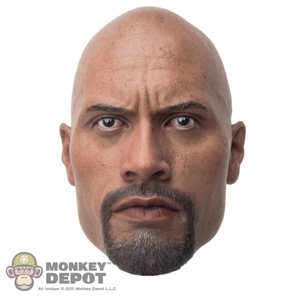 Head: Hot Toys Dwayne "The Rock" Johnson