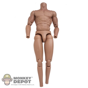 FIgure: Hot Toys Caucasian Muscle Body
