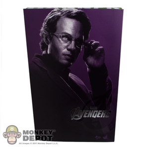 Display Box: Hot Toys Bruce Banner (EMPTY)